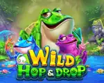 Wild Hop&Drop